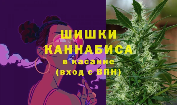 мдпв Подольск