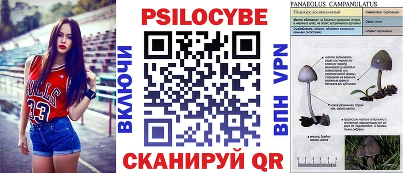 Псилоцибиновые грибы Psilocybine cubensis  hydra ССЫЛКА  Белинский 